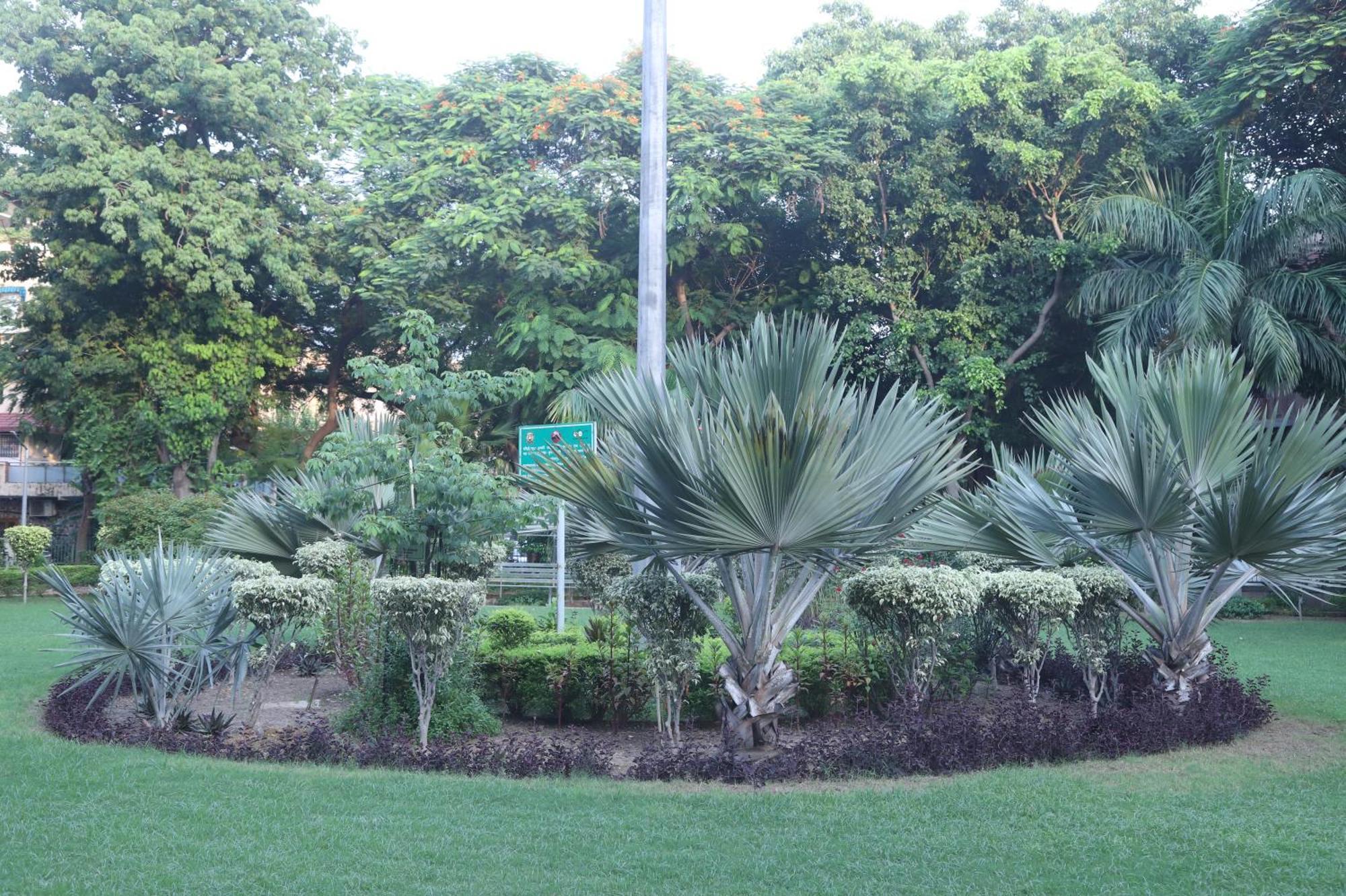 Divine India Service Apartment 3Bhk,B57 Sarita Vihar,Apollo Nowe Delhi Zewnętrze zdjęcie